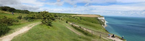 Dover Pano 4 (Custom)