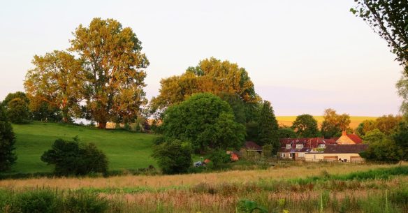 IMG_4184 retouched and edited (Custom)