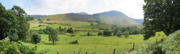 Newlands Pano 1 (Custom)