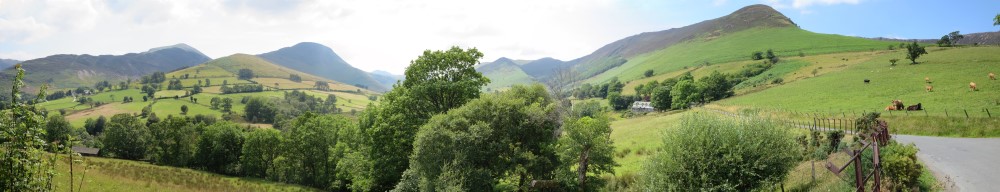Newlands Pano 2 (Custom)
